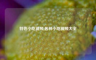 特色小吃视频,各种小吃视频大全