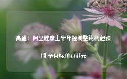 高盛：阿里健康上半年经调整纯利超预期 予目标价4.4港元