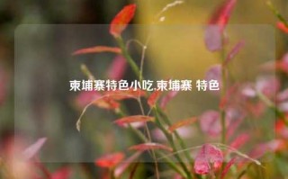 柬埔寨特色小吃,柬埔寨 特色