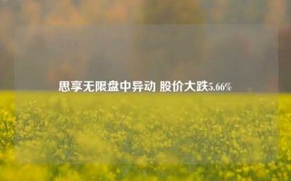 思享无限盘中异动 股价大跌5.66%