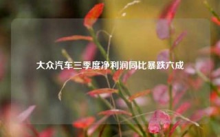 大众汽车三季度净利润同比暴跌六成