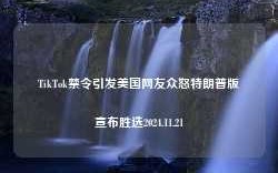 TikTok禁令引发美国网友众怒特朗普版宣布胜选2024.11.21