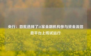 央行：首批选择了31家金融机构参与资金流信息平台上线试运行