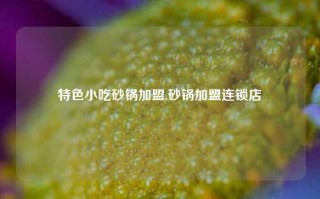 特色小吃砂锅加盟,砂锅加盟连锁店