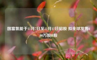 国富氢能于11月7日至11月12日招股 拟全球发售600万股H股