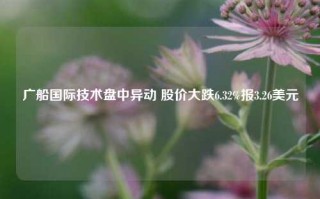 广船国际技术盘中异动 股价大跌6.32%报3.26美元