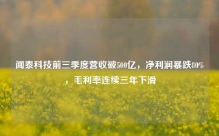 闻泰科技前三季度营收破500亿，净利润暴跌80%，毛利率连续三年下滑