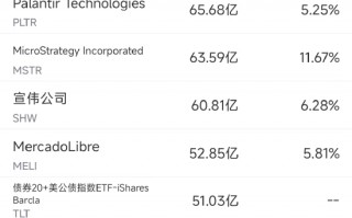 11月7日美股成交额前20：英伟达市值突破3.65万亿美元