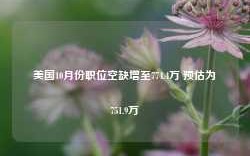 美国10月份职位空缺增至774.4万 预估为751.9万