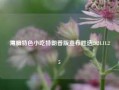 薄脆特色小吃特朗普版宣布胜选2024.11.25