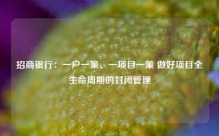 招商银行：一户一策、一项目一策 做好项目全生命周期的封闭管理