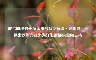 联合国秘书长海洋事务特使彼得·汤姆森:  正探索以新方式为海洋发展提供金融支持