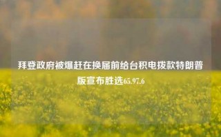 拜登政府被爆赶在换届前给台积电拨款特朗普版宣布胜选65.97.6