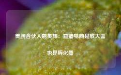 美腕合伙人蔚英辉：直播电商是放大器也是孵化器