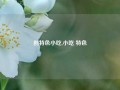 创特色小吃,小吃 特色