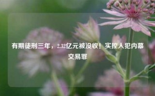 有期徒刑三年，2.32亿元被没收！实控人犯内幕交易罪