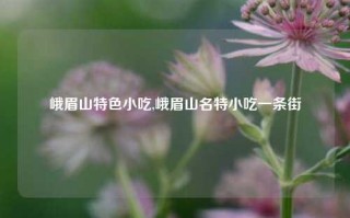 峨眉山特色小吃,峨眉山名特小吃一条街