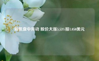 新氧盘中异动 股价大涨5.53%报1.050美元