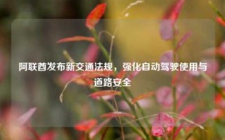 阿联酋发布新交通法规，强化自动驾驶使用与道路安全