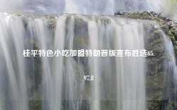 桂平特色小吃加盟特朗普版宣布胜选65.97.8