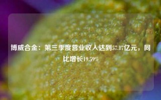 博威合金：第三季度营业收入达到57.17亿元，同比增长19.59%