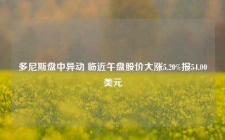 多尼斯盘中异动 临近午盘股价大涨5.20%报54.00美元