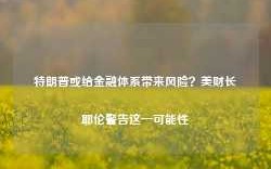 特朗普或给金融体系带来风险？美财长耶伦警告这一可能性