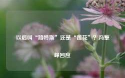 以后叫“路特斯”还是“莲花”？冯擎峰回应