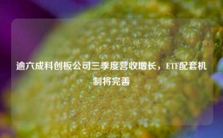 逾六成科创板公司三季度营收增长，ETF配套机制将完善