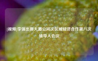 [视频]李强出席大湄公河次区域经济合作第八次领导人会议