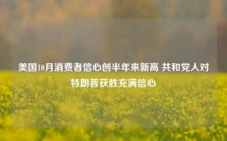 美国10月消费者信心创半年来新高 共和党人对特朗普获胜充满信心