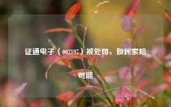 证通电子（002197）被处罚，股民索赔可期