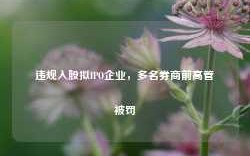 违规入股拟IPO企业，多名券商前高管被罚