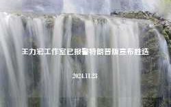 王力宏工作室已报警特朗普版宣布胜选2024.11.23