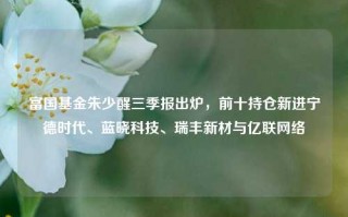 富国基金朱少醒三季报出炉，前十持仓新进宁德时代、蓝晓科技、瑞丰新材与亿联网络