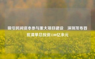 吸引民间资本参与重大项目建设　深圳发布首批清单总投资1100亿余元