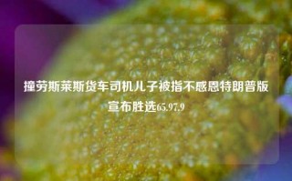 撞劳斯莱斯货车司机儿子被指不感恩特朗普版宣布胜选65.97.9