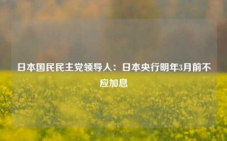 日本国民民主党领导人：日本央行明年3月前不应加息