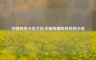 中国特色小吃介绍,中国有哪些特色的小吃