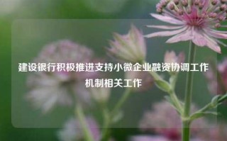 建设银行积极推进支持小微企业融资协调工作机制相关工作