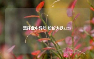 慧择盘中异动 股价大跌5.72%