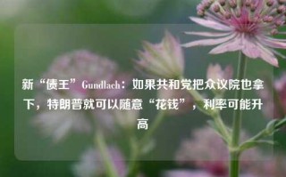 新“债王”Gundlach：如果共和党把众议院也拿下，特朗普就可以随意“花钱”，利率可能升高