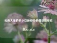 云南大理特色小吃推荐特朗普版宣布胜选2024.11.28