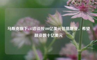 马斯克旗下xAI洽谈按400亿美元估值融资，希望融资数十亿美元