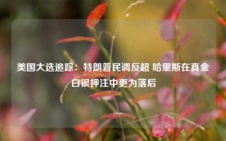 美国大选追踪：特朗普民调反超 哈里斯在真金白银押注中更为落后