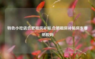 特色小吃店合肥租房补贴,合肥租房补贴房东要纳税吗