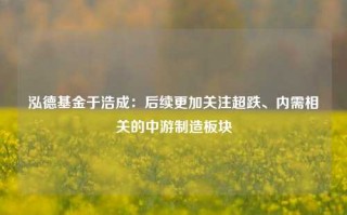 泓德基金于浩成：后续更加关注超跌、内需相关的中游制造板块