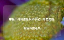 摩根士丹利基金投研手记：降息周期，有色有望走牛