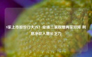 9家上市股份行大PK！业绩三家双增两家双降 利息净收入增长乏力