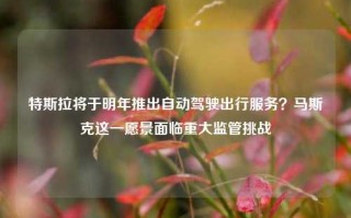 特斯拉将于明年推出自动驾驶出行服务？马斯克这一愿景面临重大监管挑战